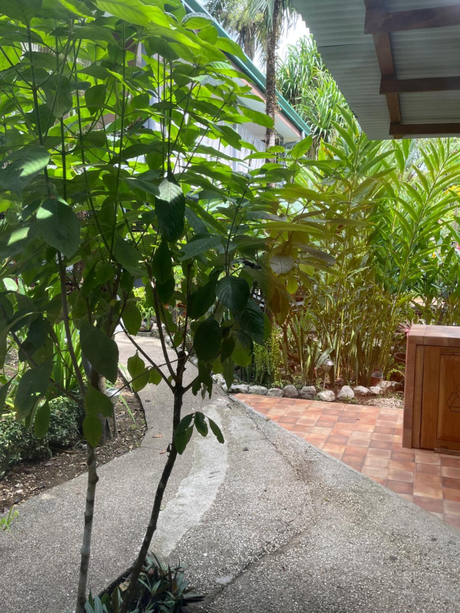 Hotel Entre Dos Aguas Самара Экстерьер фото
