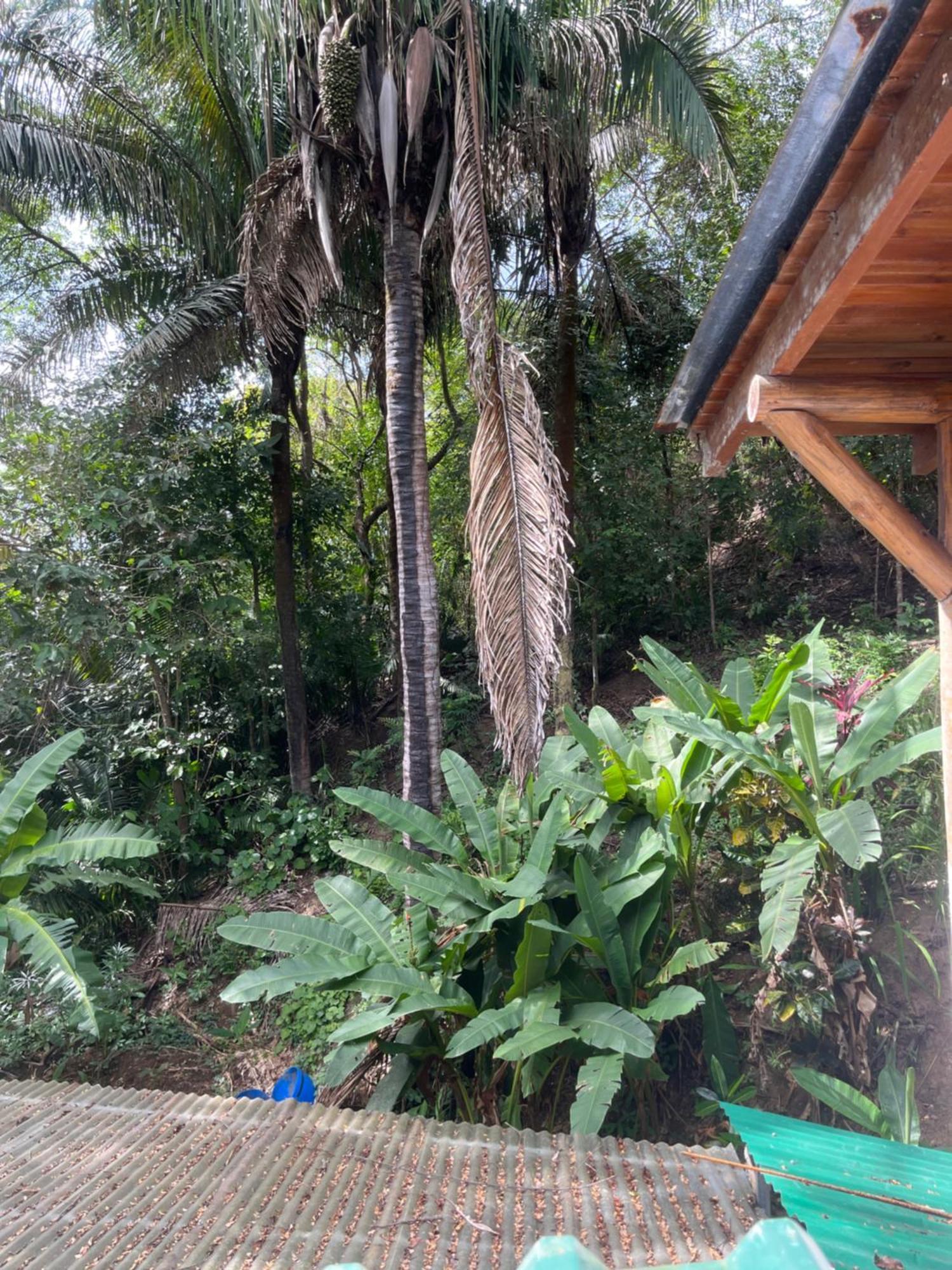 Hotel Entre Dos Aguas Самара Экстерьер фото